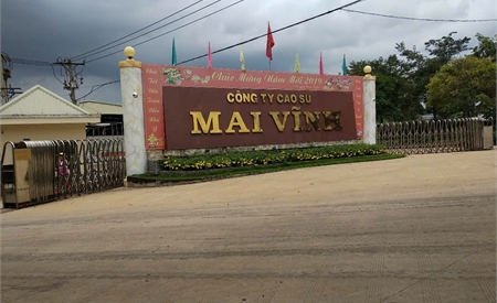 NHÀ MÁY CAO SU MAI VĨNH